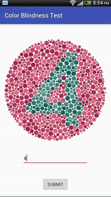 Color Blindness Test